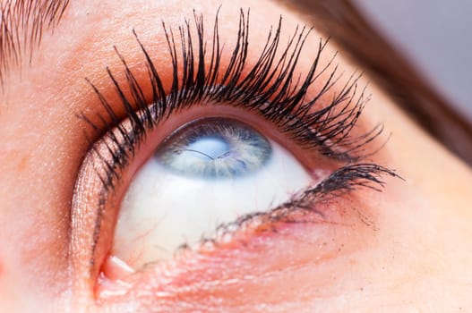 An image of female eye close up