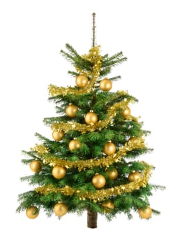 Studio shot of gold decorated Christmas tree on white