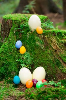 Colorful Easter eggs and three Nandu eggs on a tree stump