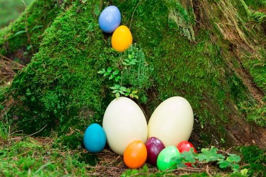 Colorful Easter eggs and two Nandu eggs on a tree stump