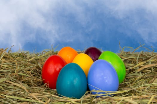 Colourful Easter eggs in the hay
