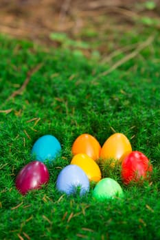 Colourful Easter eggs in a bed of moss