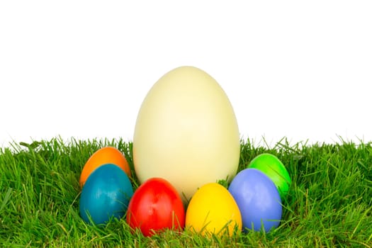Colorful Easter eggs and a Nanduei in a meadow
