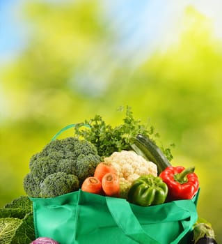 Green bag with variety of fresh organic vegetables in the garden