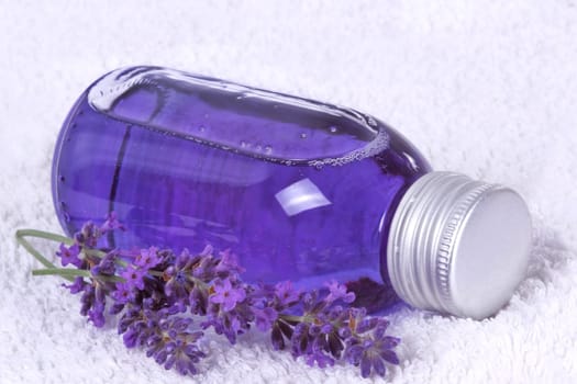 Lavender on a towel