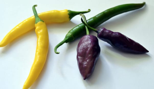 Freshly harvested chilli peppers