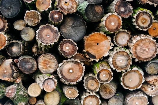 Round firewood on a pile
