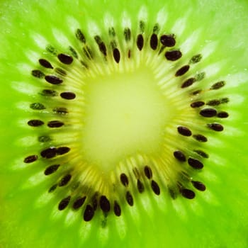 Macro photo of fresh juicy kiwi fruit