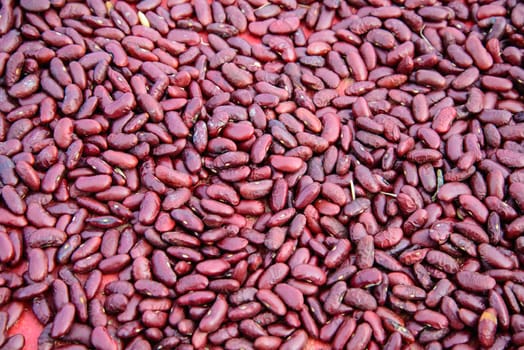 red beans in the garden in Thailand. Background