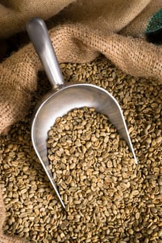 Big sack of coffee beans waiting to be roasted in coffee roaster warehouse