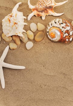 shells and stones on sand