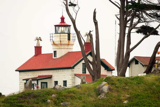 A rainy and blustery day on the Pacific Coast
