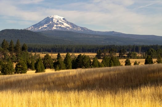 Mt Adams looms over lush ranch land in Washington state