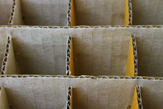 Cardboard box for insert bottles