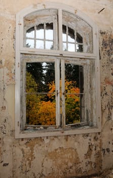 At the window