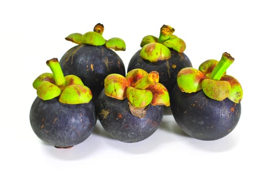 tropical mangosteen fruit on white background