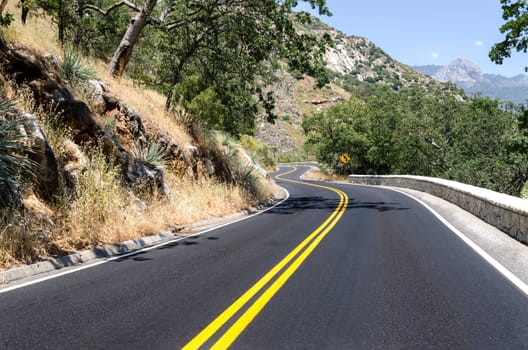 road with curves in Sequoia National Park in California