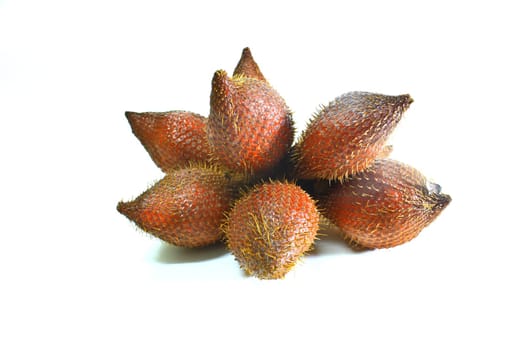 Zalacca or salak fruit, Traditional seasonal Sweet fruit flavors of Thailand