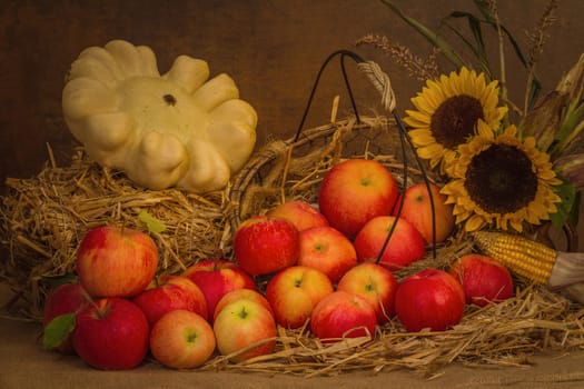 Harvest time
