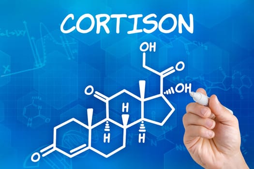 Hand draws chemical structural formula of cortisone