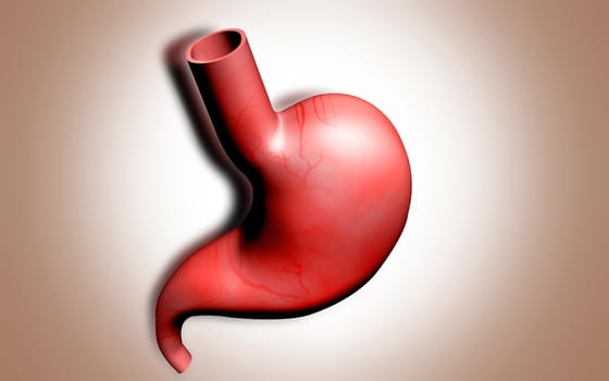 Digital illustration of stomach in colour background