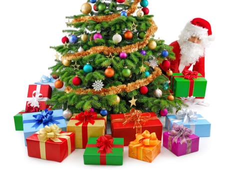 Santa Claus kneels next to the Christmas tree and lays down the presents
