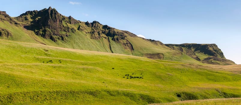 Overview of meadows in Vik in Iceland