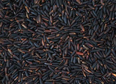 Black rice background
