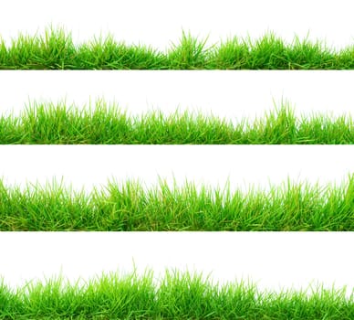 grass