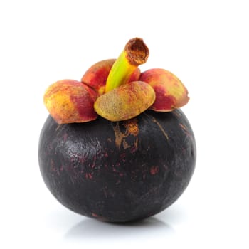 Mangosteen