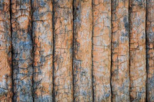 Timber wall background