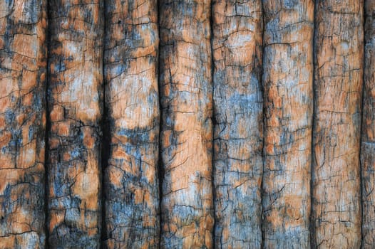Timber wall background