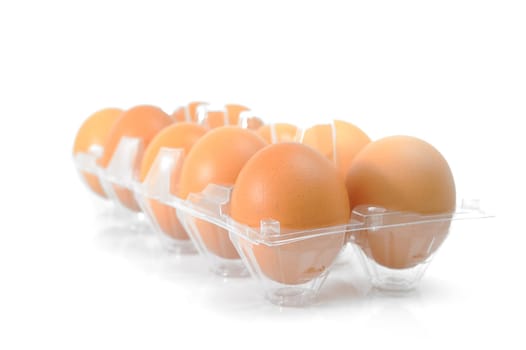 Ten eggs in plastic pack