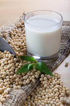 soy milk with soy beans background