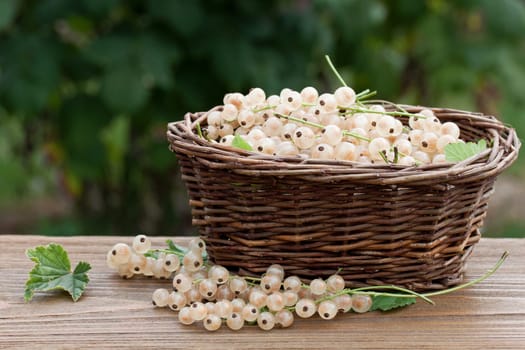 Basket full of currants