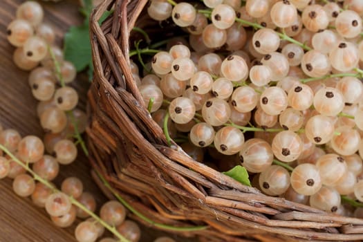 White currants