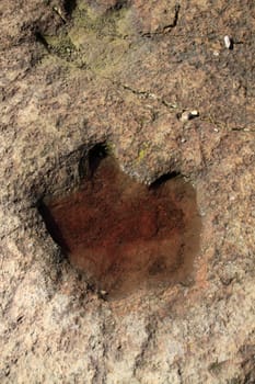 Dinosaur tracks in Obernkirchen