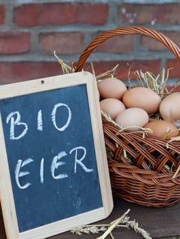 Fresh eggs from the farm
