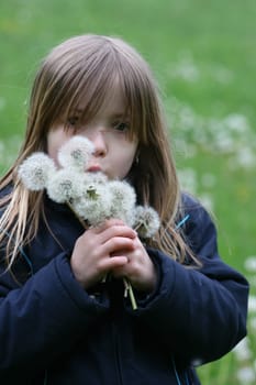 a blonde girl with dandelions