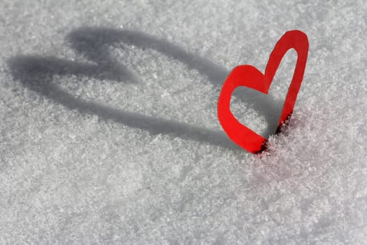 The Shadow Heart