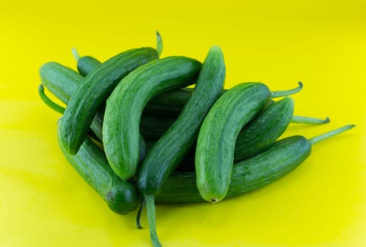Fresh Cucumber on yellow background.
