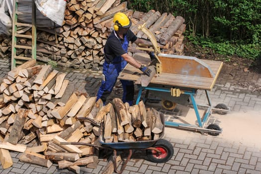 Sawing firewood