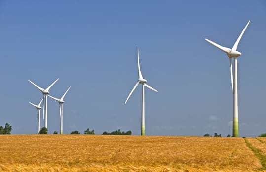 Wind turbines in the cornfield