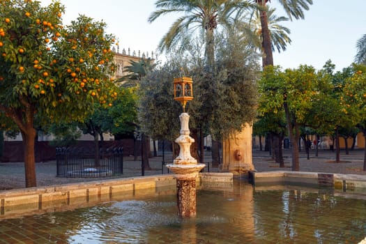 Orange courtyard, famous Mosque of Cordoba Spain which was later converted into a Cathedral.