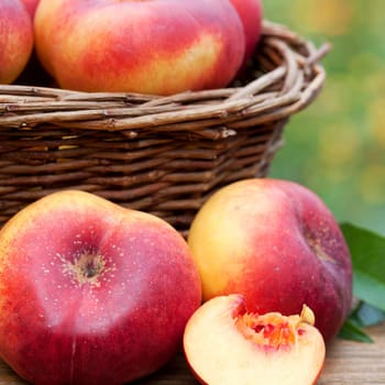 Freshly harvested mountain nectarines