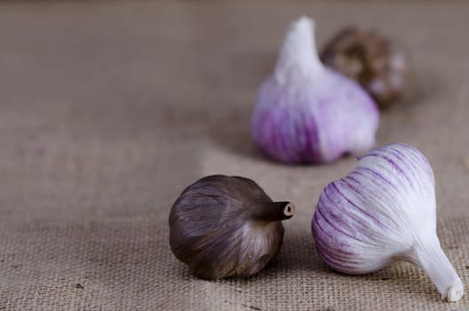 Group of fresh and smoked garlic bulbs on a sacking background