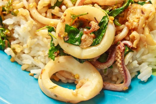 squids fried with chilli pepper and sweet basil on rice,thai food