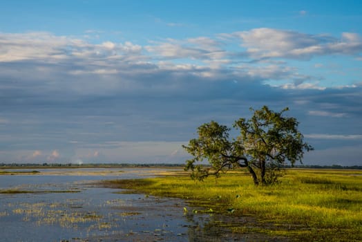 The reservoir for agriculture in the country of Thailand.
