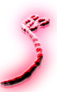 Digital illustration of Ebola virus in colour background