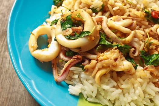 squids fried with chilli pepper and sweet basil on rice,thai food